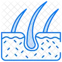 Dermis  Icono