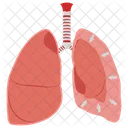 Derrame Pleural Pulmoes Infeccao Ícone