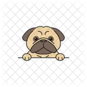 Desenho de cachorro pug fofo  Ícone