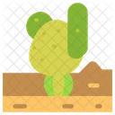 Desert  Icon