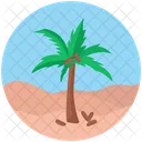 Desert Coconut Tree Uninhabited Land Icon