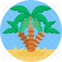 Desert Ecology Trees Icon