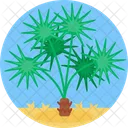 Desert Plant Green Icon