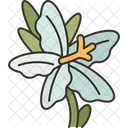 Desert Lily Flower Icon