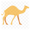 Desert Animal  Icon