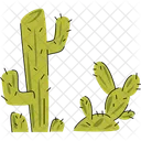 Cactuses Succulent Plants Icon