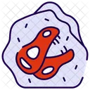 Desert fossil  Icon