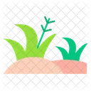 Plant Desert Grass Icon