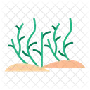 Desert Grass Icon