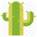 Desert  Icon