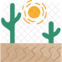 Desert  Icon