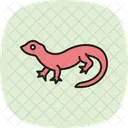Desert Iguana Desertiguana Reptile Icon