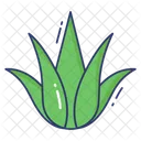 Desert plant  Icon