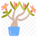 Desert Rose Lily Impala Lily Icon