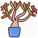 Desert Rose Lily Impala Lily Icon