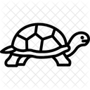 Desert Tortoise Icon