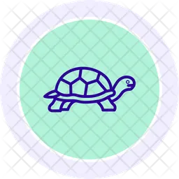 Desert tortoise  Icon