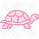 Desert Tortoise Icon