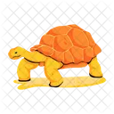 Desert Turtle  Icon
