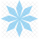 Snow Snowflake Star Icon