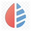Design  Icon