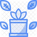 Desk plant  Icon