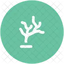Desnudo Arboles Otono Icono