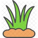 Dessert Plant  Icon