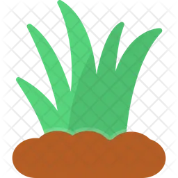 Dessert Plant  Icon