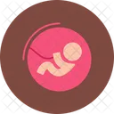 Raro Embarazo Bebe Icon