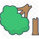 Destruccion Forestal Deforestacion Dano Ambiental Icon