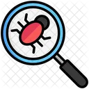 Detection Access Face Icon