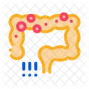 Detection Intestinal Infections Icon