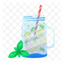 Detox Water Icon