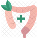 Detoxification  Icon