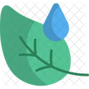Dew Leaf Nature Icon