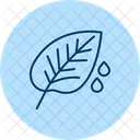 Dew On Crops Dew Crops Icon