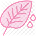 Dew On Crops Dew Crops Icon