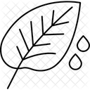 Dew On Crops Dew Crops Icon