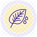 Dew On Crops Dew Crops Icon