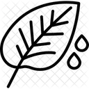 Dew On Crops Dew Crops Icon