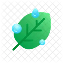 Dew Point  Icon