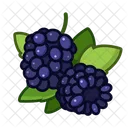 Dewberry Fruit Healthy Icon