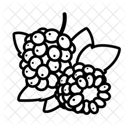 Dewberry  Icon