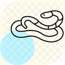 Jiboia Rosada Jiboia Rosada Reptil Ícone