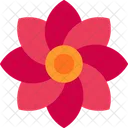 Dia Flor Regalo Icono