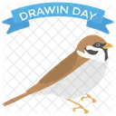 Estandarte Gorrion Darwin Icono