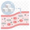 Diabetes Acucar No Sangue Arteria Ícone