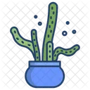 Diablo Rastrero Cactus Pot Planta De Cactus Icono