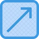 Diagonal Arrow Resize Icon